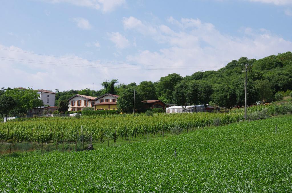 Agriturismo Casa Villi Solferino Eksteriør billede